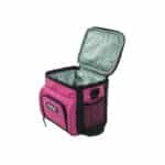 Custom RTIC Day Cooler 8 - 6